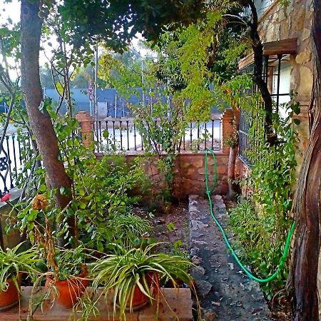 Casa Rural Zarco Miralles Melegis エクステリア 写真